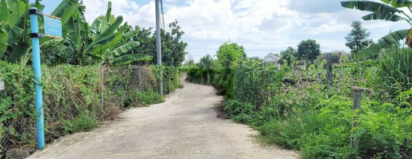 Đất sào mặt tiền bê tông (ngang 21m), sát bên đường nhựa, xã Sông Thao -03