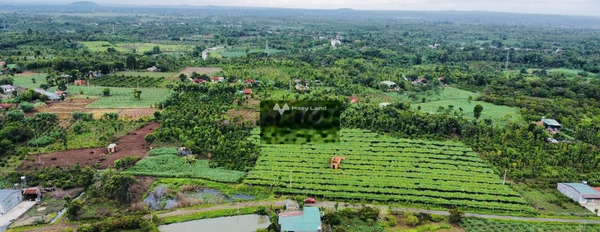 Vị trí cực kì thuận lợi ngay tại Ea M'Nang, Đắk Lắk bán đất giá bán siêu mềm từ 790 triệu diện tích đúng với trên ảnh 3000m2-02
