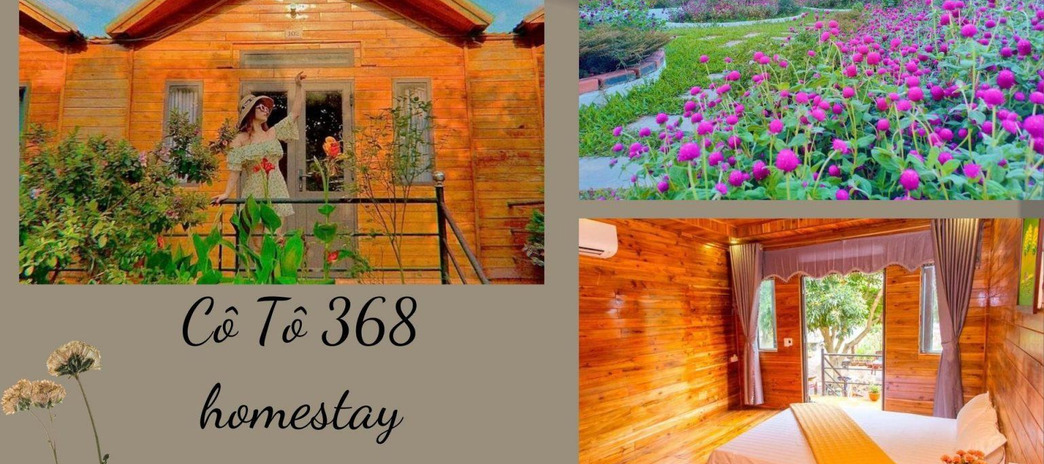 Cho thuê Cô Tô 368 Homestay