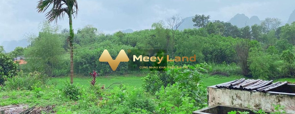 1.95 tỷ bán đất có diện tích rộng 1000m2 vị trí thuận lợi ngay Lương Sơn, Hòa Bình-02