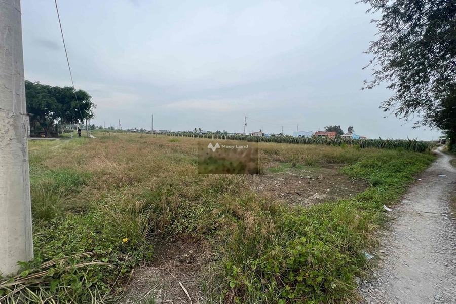 Bán đất trên Thuận Mỹ, Long An giá 890 triệu-01