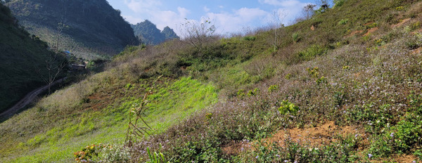 Bán mảnh đất diện tích 2 ha tại Xồm Lồm, Phiêng Luông, Mộc Châu view cực đẹp-02