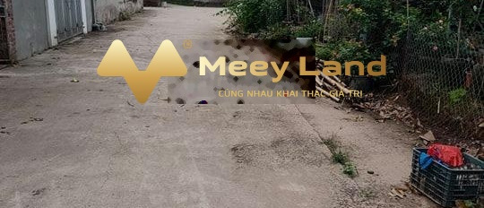 Vị trí tốt đặt nằm ngay Xã Xuân Quan, Huyện Văn Giang bán đất giá bán mua liền chỉ 11.5 tỷ diện tích 515 m2-02