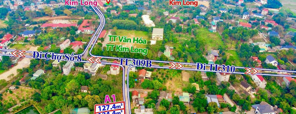 Cần bán đất huyện Tam Dương tỉnh Vĩnh Phúc giá 620 triệu-03
