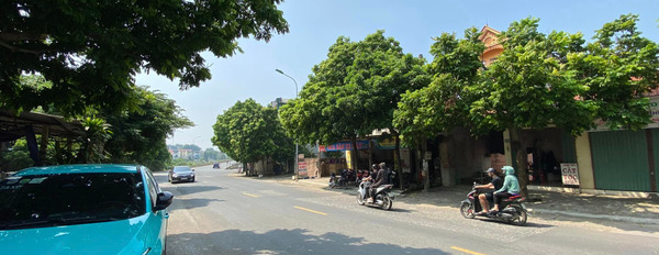 Bán 104m2 đất kinh doanh mặt đường QL-2C Đồng Tâm, Vĩnh Yên-02