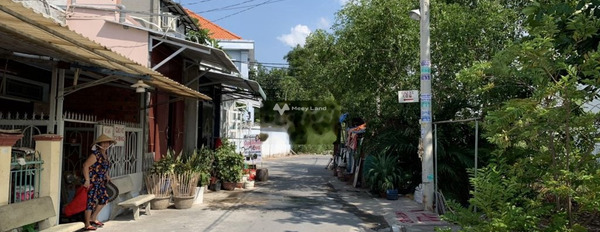 Bán đất tại Hưng Long, Bình Chánh, giá 2,6 tỷ-02