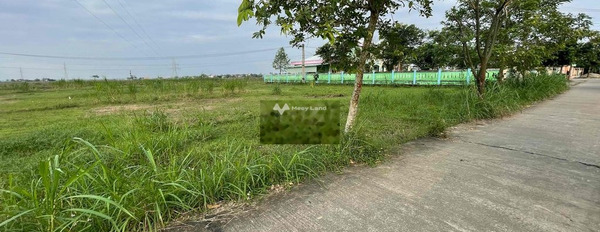 Điện Bàn, Quảng Nam 670 triệu bán đất có diện tích thực là 125m2-02