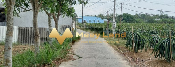 Giá bán đề xuất từ 550 triệu, Bán đất dt quy đổi 171 m2 Nằm ngay trên Đường ĐT 833, Xã Bình Lãng-03