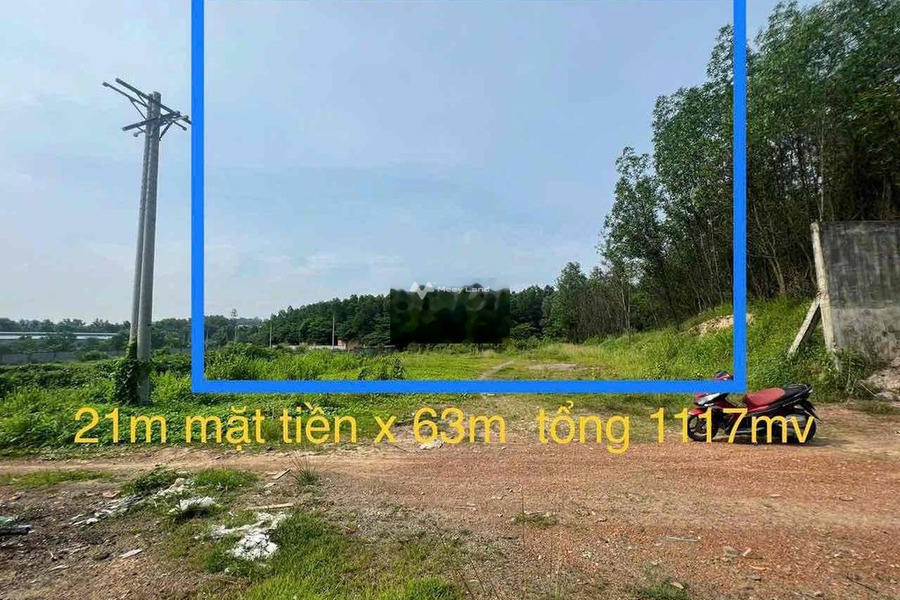 3 tỷ bán đất diện tích vừa phải 1116m2 mặt tiền nằm ngay tại Tân Hòa, Đồng Nai-01