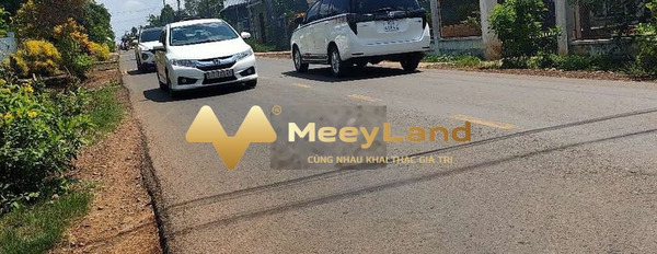 179 triệu bán đất dt chung quy 100 m2 vị trí tốt tại Xã Hưng Thịnh, Huyện Trảng Bom-03