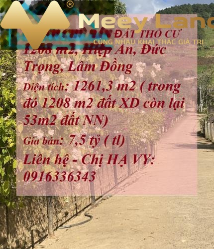 Bán đất 1261m2 vị trí đẹp ngay đường Bồng Lai, xã Hiệp An giá ưu đãi-01