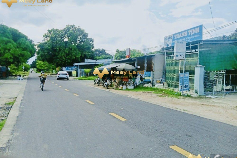 Bán đất vị trí đẹp ngay trên đường Hương Lộ 39, huyện Cam Lâm-01