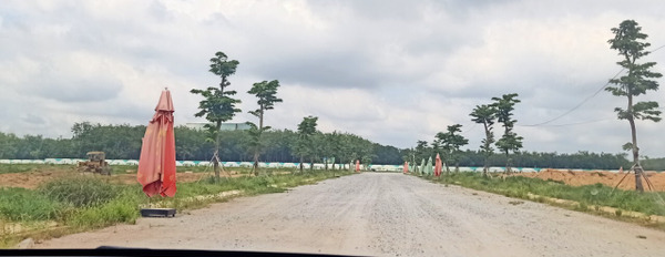 Bán đất phường Chánh Phú Hòa, Thị xã Bến Cát, Bình Dương diện tích 65m2-02