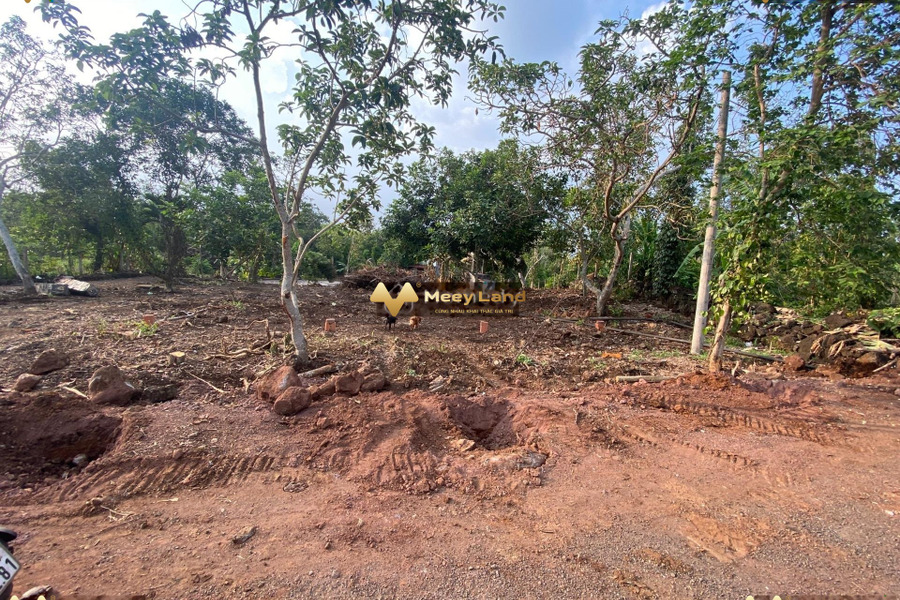 Bán đất tại Quốc Lộ 1A, Đồng Nai, giá 10,75 tỷ, diện tích 4300m2-01