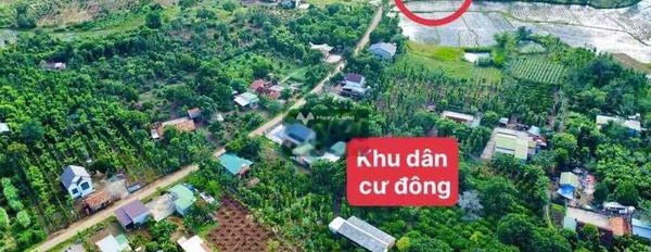 Tại Cư Kuin, Đắk Lắk bán đất 197 triệu diện tích sàn là 200m2-03