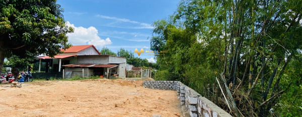 Bán đất với diện tích thực 149m2 vị trí đặt tọa lạc tại xã Suối Cát, huyện Cam Lâm-03