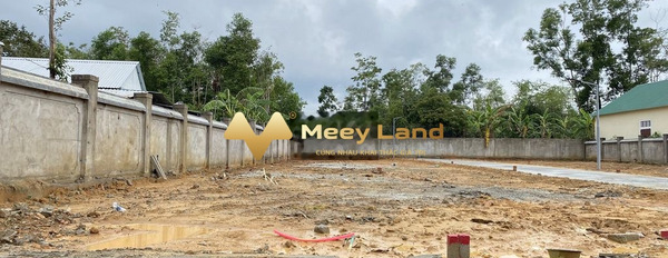 1.1 tỷ bán đất dt dài 103 m2 vị trí đẹp nằm trên Khải Định, Hương Thủy-03