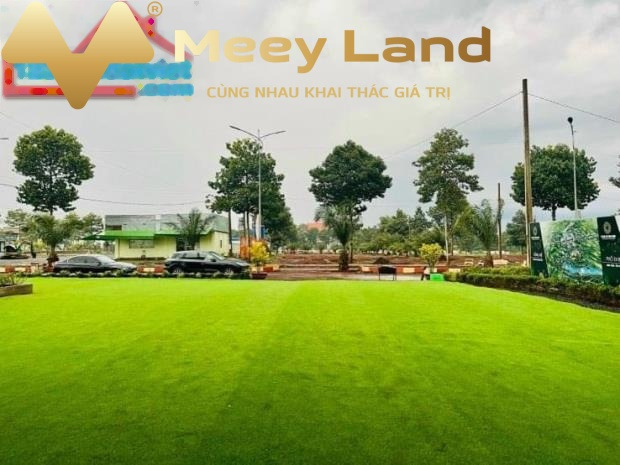 Bán biệt thự vị trí thuận lợi tọa lạc ngay ở Xã Long Hưng, Tỉnh Bình Phước bán ngay với giá êm chỉ 439 triệu có dt tổng là 110 m2-01