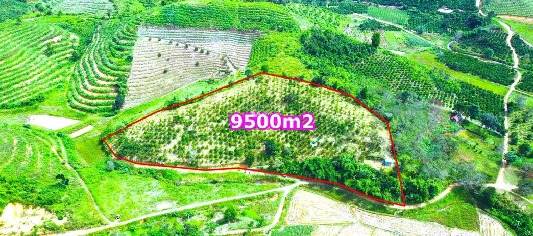 Vị trí đặt tọa lạc ở Đắk Nia, Gia Nghĩa bán đất giá bán khởi điểm 550 triệu diện tích thực dài 9500m2