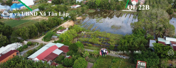Quốc Lộ 22B, Tây Ninh bán đất giá bán rẻ bất ngờ chỉ 590 triệu diện tích rất rộng 136m2-02