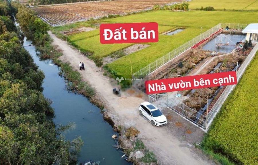 Bán đất 1.5 tỷ Tân Thành, Thủ Thừa với diện tích thực 1300m2-01