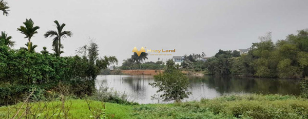 Vị trí mặt tiền tọa lạc ở Quốc Oai, Hà Nội bán đất, giá bán ưu đãi 1.88 tỷ, hướng Tây - Nam có tổng diện tích 188m2-02
