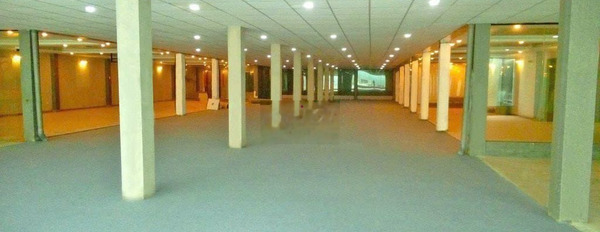 CHO THUÊ VĂN PHÒNG ĐẸP DIỆN TÍCH 850M2 ĐƯỜNG 30 THÁNG 4 GIÁ 180 TRIỆU -03