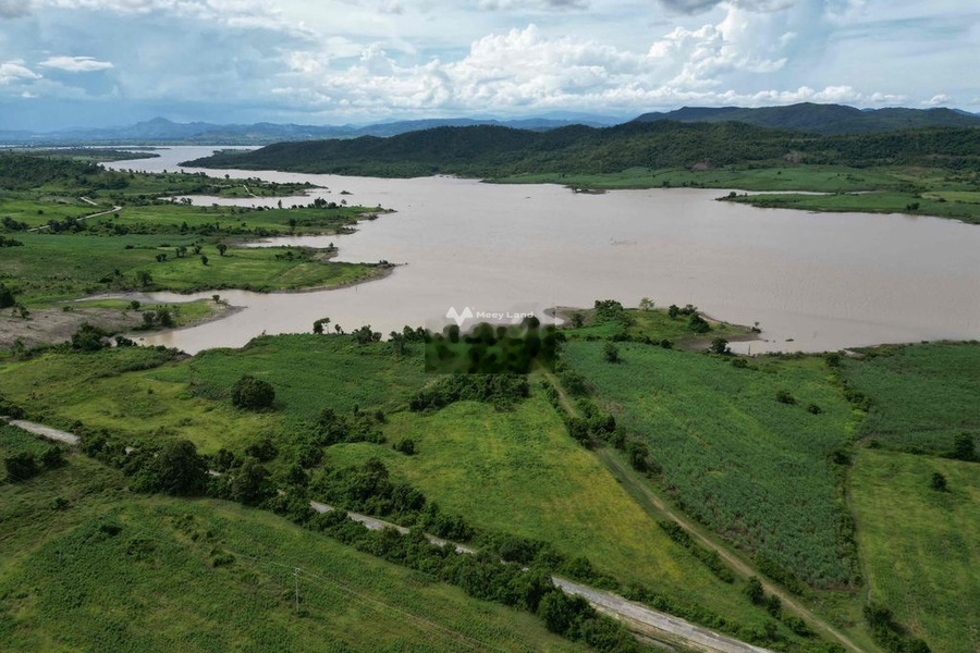 Chuyển định cư bán đất Sông Hinh, Phú Yên giá bán cực sốc chỉ 160 triệu có diện tích 600m2-01