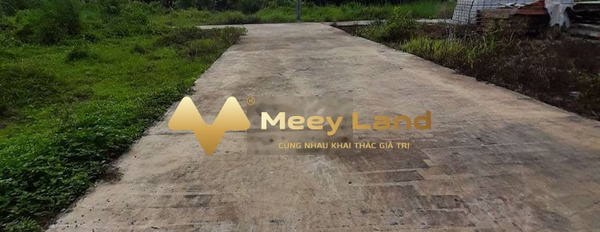 Bán đất tại xã Sông Thao, Trảng Bom, Đồng Nai. Diện tích 115m2, giá 128,8 triệu-03