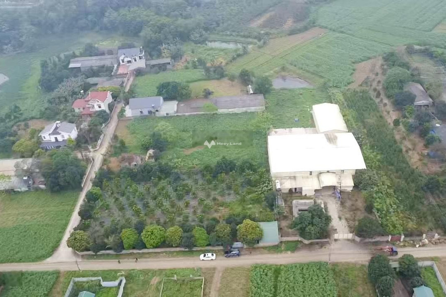 Ba Vì, Hà Nội bán đất giá bán chỉ 4.4 tỷ diện tích rộng là 2500m2-01