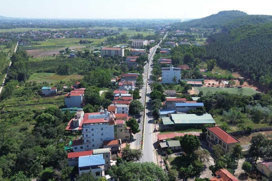 Ngay Đồng Xuân, Vĩnh Phúc bán đất 5.81 tỷ diện tích rộng lớn 368m2-01