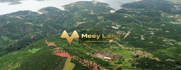 Giá bán hạt dẻ chỉ 700 triệu bán đất có diện tích rộng 450 m2 vị trí thuận lợi ngay trên Tân Thượng, Di Linh-03