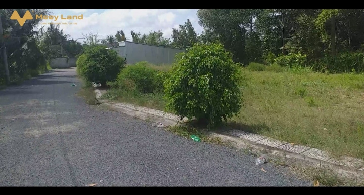 Cần bán đất liền kề quốc lộ 1A Tiền Giang-01