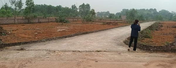 Bán đất 1 tỷ, diện tích 500m2 tại Sóc Sơn, Hà Nội-02