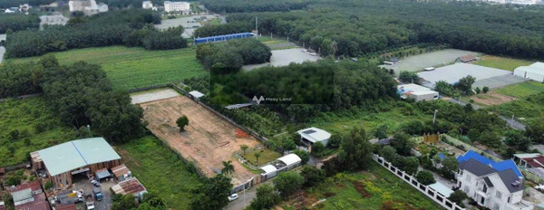 40.25 triệu bán đất có diện tích chuẩn 5.75m2 vị trí thuận lợi ở Phú Chánh, Bình Dương-03