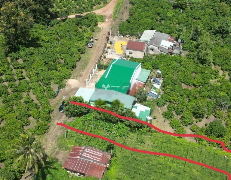 Cần bán lô đất mặt tiền đường đã có 100m2 thổ cư tại Ia Bă, Ia Grai-01