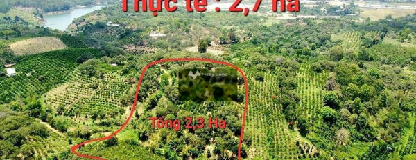 Cần ra đi gấp bán đất Trúc Sơn, Đắk Nông giá bán đề xuất 2.3 tỷ diện tích chuẩn 23000m2-02