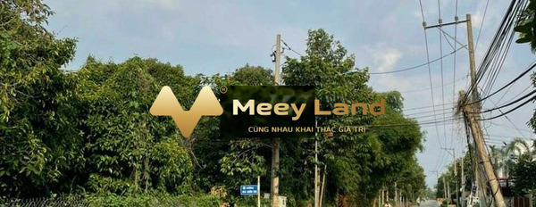 Bán đất có diện tích 1750m2 mặt tiền nằm ngay trên An Sơn, Thuận An khu vực tiềm năng-03