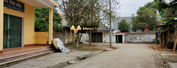 Bán đất Có tổng diện tích 160 m2 tọa lạc ngay Thị Trấn Thắng, Bắc Giang-03