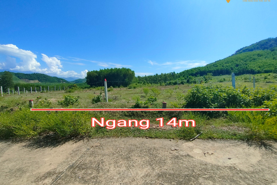 Bán đất làm vườn Khánh Phú giá rẻ gần Hương lộ 62 - ngã 3 thôn Nước Nhĩ-01
