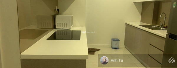 Dự án IDICO Tân Phú, bán căn hộ ngay tại Lũy Bán Bích, Tân Phú diện tích chung 71m2 tổng quan căn hộ gồm Cơ bản.-02