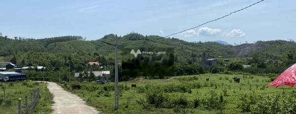 Chỉ 300tr đồng sỡ hữu lô đất 720m2 QH Thổ tại Khánh Nam - Khánh Vĩnh -03