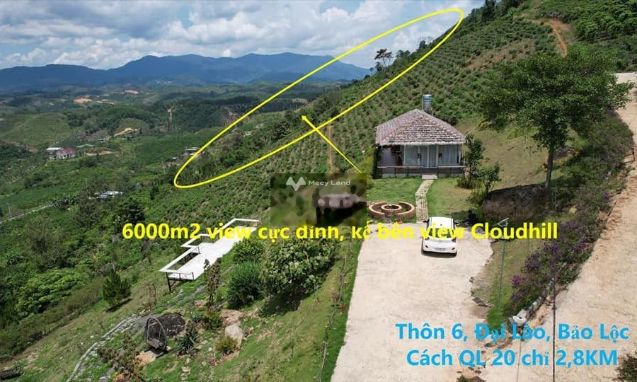 Chỉ 450tr/ 1000m2 - view săn mây đường Phạm Hồng Thái Đại Lào -01