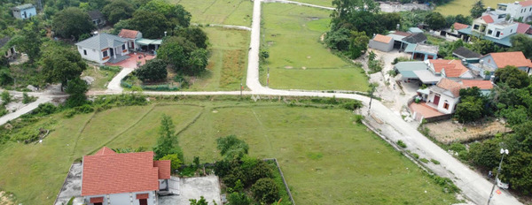 Bán đất tại Hoàng Tân, Quảng Yên, Quảng Ninh. Diện tích 300m2-02