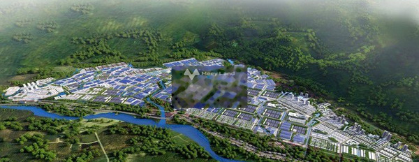 Ở Canh Vinh, Bình Định bán đất 495 triệu diện tích tổng 150m2-03