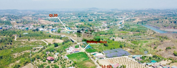Bán đất 1.75 tỷ Ninh Gia, Đức Trọng với diện tích tiêu chuẩn 230m2-03