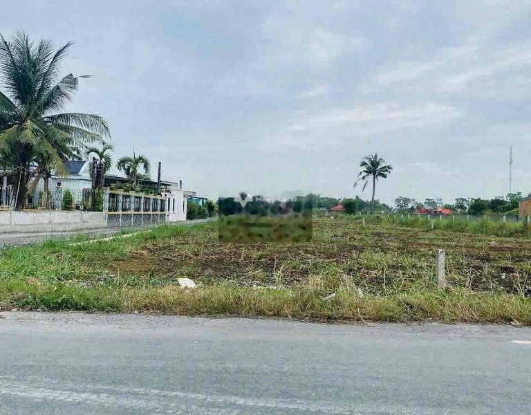 650 triệu bán đất có một diện tích 180m2 vị trí thuận tiện Nguyễn Văn Tiến, Cần Đước-01
