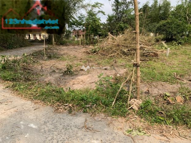 Ngay Nguyễn Văn Trỗi, Quảng Nam bán đất 770 triệu tổng diện tích là 150m2-01