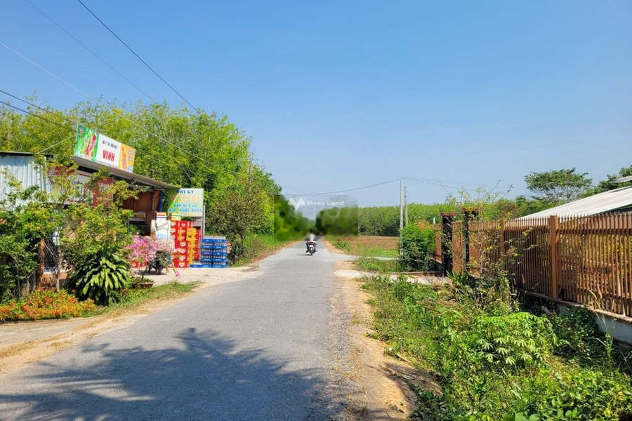Giá bán thỏa thuận 800 triệu bán đất diện tích thực tế 1130m2 tọa lạc gần Cây Da, Tây Ninh-01