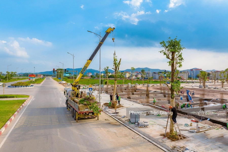 Bán đất tại Tân Tiến, Bắc Giang. Diện tích 84m2-01